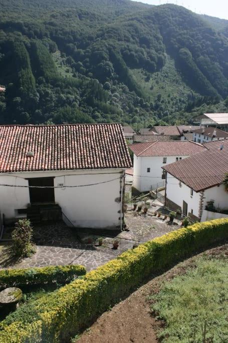 Gartzinea, Amplia Y Preciosa Vivienda Rural Leilighet Ezkurra Eksteriør bilde