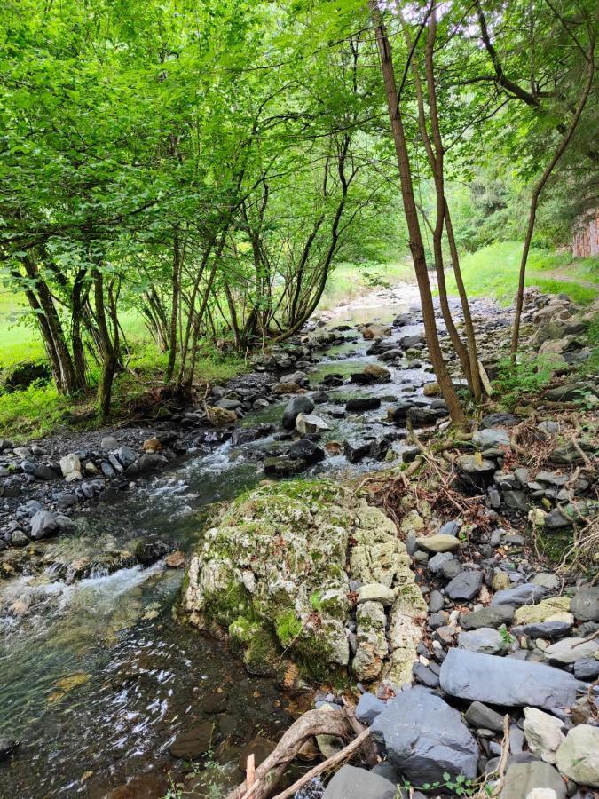Gartzinea, Amplia Y Preciosa Vivienda Rural Leilighet Ezkurra Eksteriør bilde
